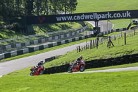 brands-hatch-photographs;brands-no-limits-trackday;cadwell-trackday-photographs;enduro-digital-images;event-digital-images;eventdigitalimages;no-limits-trackdays;peter-wileman-photography;racing-digital-images;trackday-digital-images;trackday-photos